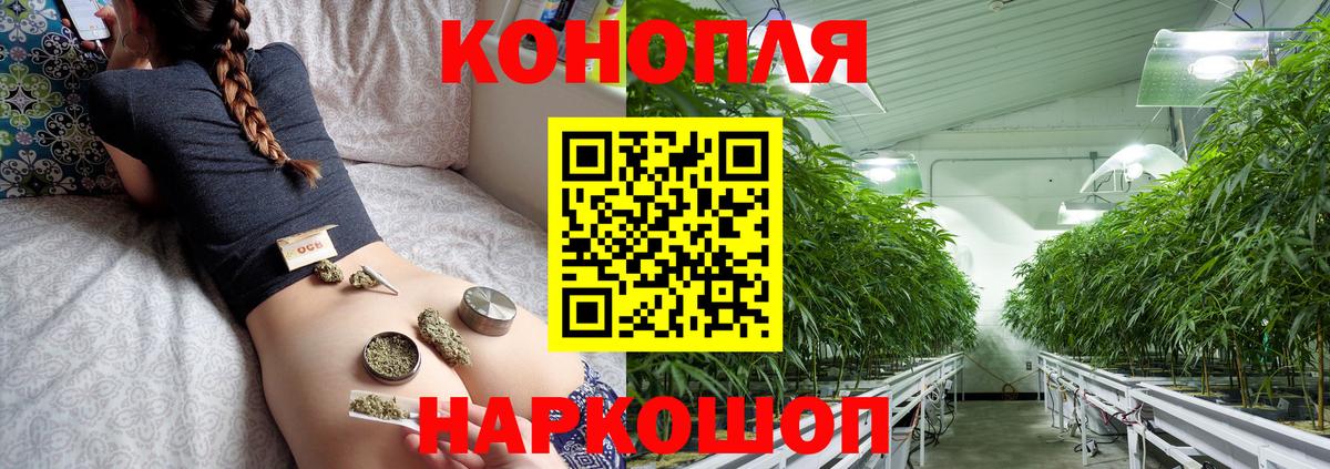 Шишки марихуана OG Kush Сальск